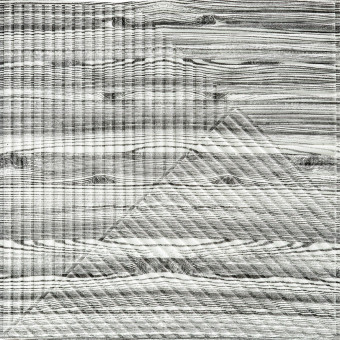 Панель стеновая 3D 500х500х5мм Бамбук Дерево Зебра SW-00002884 Панель стеновая 3D 500х500х5мм Бамбук Дерево Зебра SW-00002884